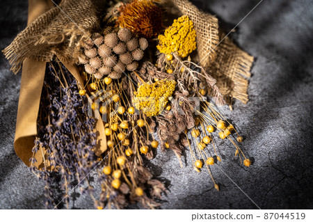Dried flower background material image Dried flower background material image 87044519