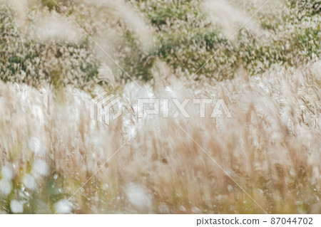 The Susuki of the Sone Plateau The Susuki of the Sone Plateau 87044702