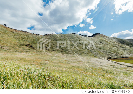 The Susuki of the Sone Plateau 87044980