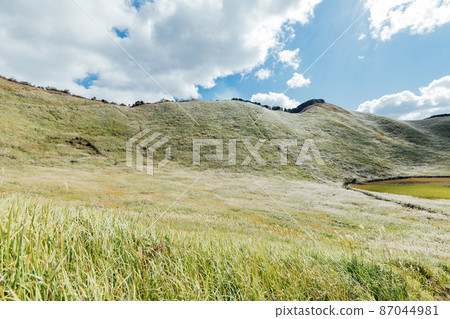 The Susuki of the Sone Plateau The Susuki of the Sone Plateau 87044981