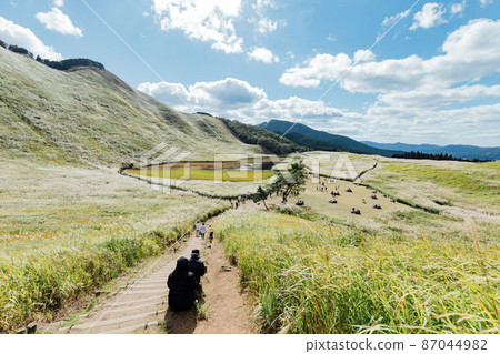 The Susuki of the Sone Plateau 87044982