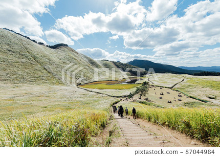 The Susuki of the Sone Plateau 87044984