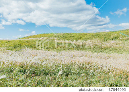 The Susuki of the Sone Plateau The Susuki of the Sone Plateau 87044993