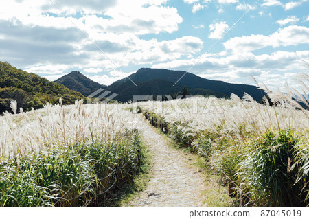 Sone高原的Susuki 87045019