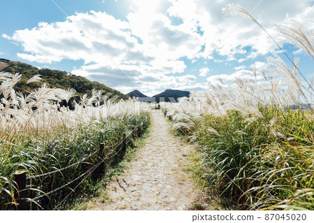 Sone高原的Susuki Sone高原的Susuki 87045020