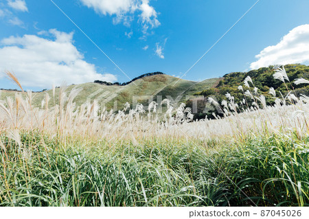 Sone高原的Susuki 87045026