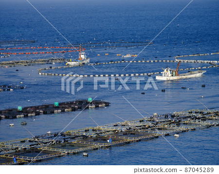 翡翠藍海藍鰭金槍魚紅鯛養殖場 87045289