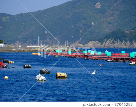Kochi Kashiwajima farming raft and floating buoy Kochi Kashiwajima farming raft and floating buoy 87045292