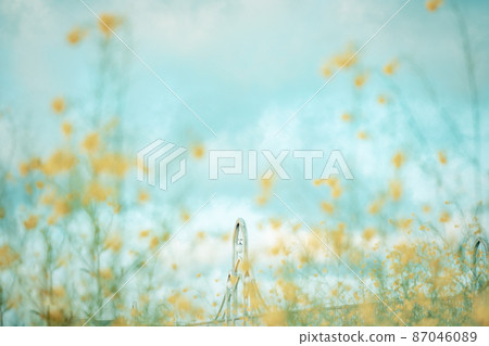 “埼玉縣”在芝川和Kitayadorio橋上盛開的油菜花 87046089