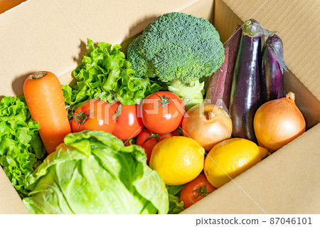 Vegetables in a cardboard box 87046101
