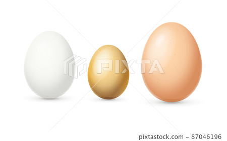 Realistic Detailed 3d Different Color and Sizes Eggs Set. Vector 87046196