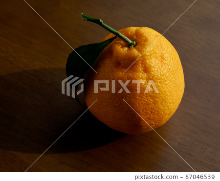 Fresh organic natural fruits Jeju Hallabong, citrus fruits Fresh organic natural fruits Jeju Hallabong, citrus fruits 87046539