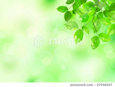 初夏美麗的新鮮綠色和模糊的綠色背景插圖素材 87046847