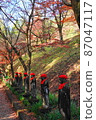 寺廟和神社 5 87047117