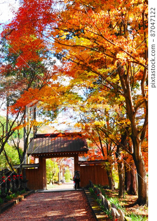 寺廟和神社 9 87047122