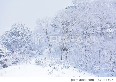 Winter Tree Winter Tree 87047397