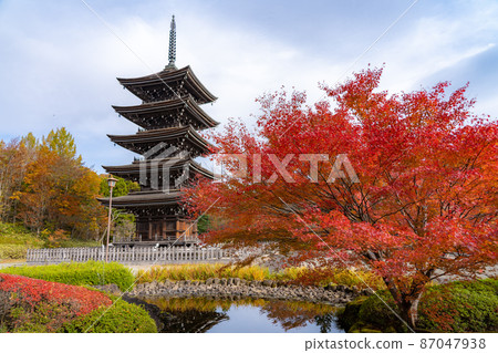 Definition Nyorai Saihoji Five-storied Pagoda Autumn Leaves (Sendai City, Miyagi Prefecture) 87047938