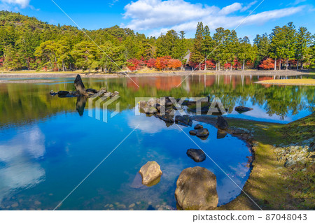 世界遺產毛越淨土庭園紅葉(岩手縣平泉町) 世界遺產毛越淨土庭園紅葉(岩手縣平泉町) 87048043