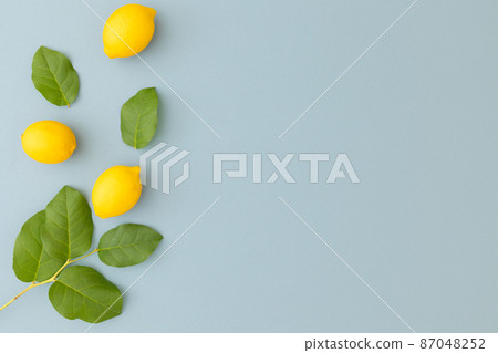 Lemon_background material 87048252