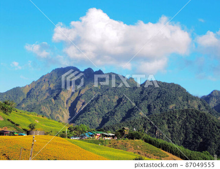 風景 風景 87049555