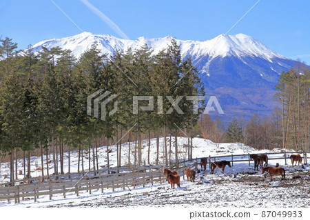 Kaida Kogen in winter, Kiso Horse Village Kaida Kogen in winter, Kiso Horse Village 87049933