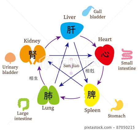 伊斯蘭教五功與伊斯蘭教五功的關係圖,東方醫學,英文 伊斯蘭教五功與伊斯蘭教五功的關係圖,東方醫學,英文 87050215