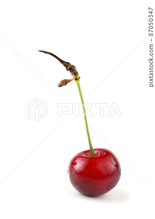 Cherry 87050347