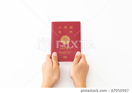 有護照的手 有護照的手 87050987