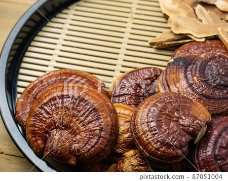 The lingzhi is the ancient mushroom of immortality for medical or food concept The lingzhi is the ancient mushroom of immortality for medical or food concept 87051004