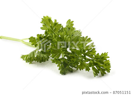 Parsley Parsley 87051151