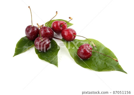 Cherries on leaves Cherries on leaves 87051156