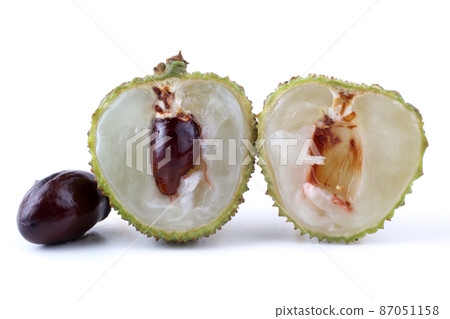 Lychee Lychee 87051158