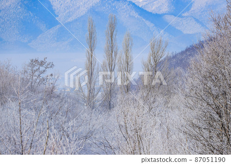 [Kamifurano-cho, Hokkaido] Trees with hoarfrost 87051190