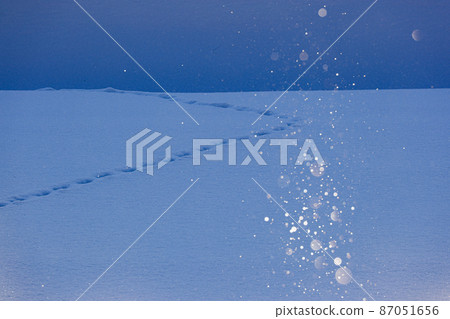 [北海道上富良野町]鑽石塵和赤狐的足跡 87051656