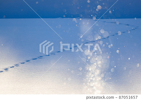 [北海道上富良野町]鑽石塵和赤狐的足跡 87051657