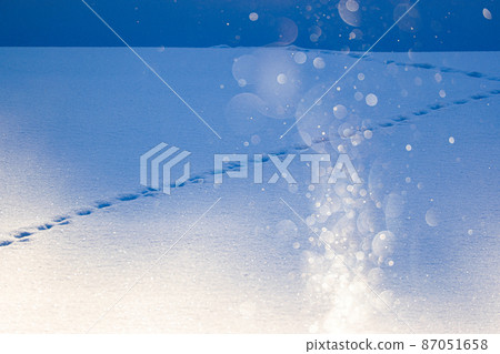 [Kamifurano-cho, Hokkaido] Footprints of diamond dust and red fox 87051658