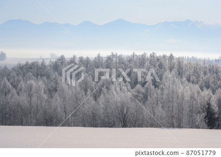 [Kamifurano Town, Hokkaido] Rime forest 87051779