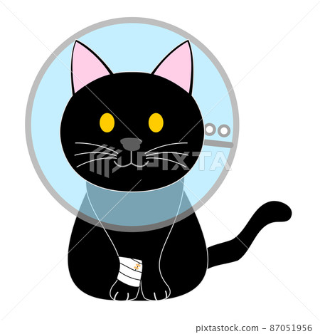 伊麗莎白項圈的黑貓 87051956