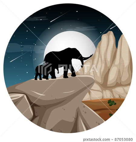 Elephant animal silhouette in savanna forest at night 87053080