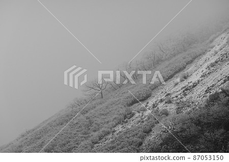 In the thick fog 87053150