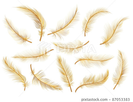 Golden Feathers