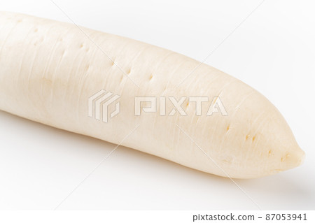 日本蘿蔔 日本蘿蔔 87053941