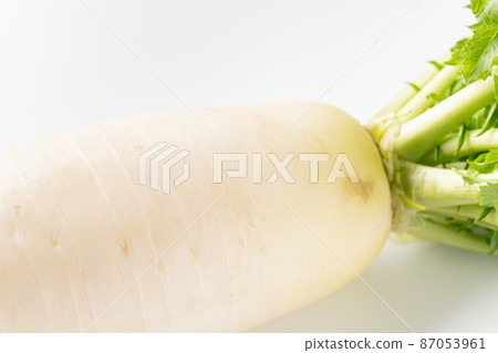 Japanese radish Japanese radish 87053961
