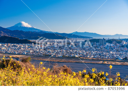 (Shizuoka Prefecture) Beyond the rape blossoms, the cityscape of Shizuoka City and Mt. Fuji early in the morning 87053996