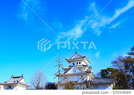 大垣市和大垣城的風景 大垣市和大垣城的風景 87054084