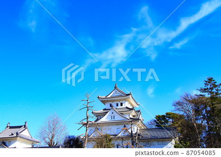 大垣市和大垣城的風景 大垣市和大垣城的風景 87054085
