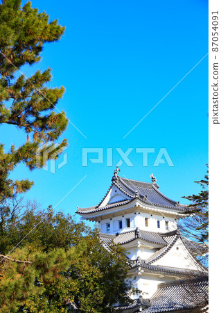 大垣市和大垣城的風景 大垣市和大垣城的風景 87054091