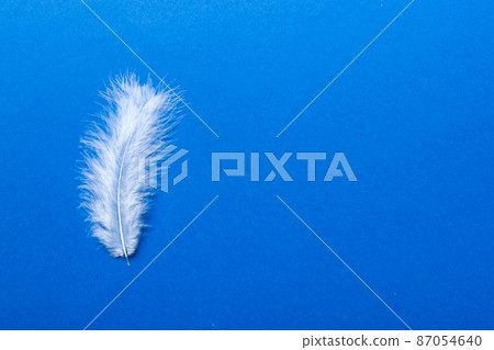 background of brightly colored dyed bird feathers on Colored background, top view. Copy space background of brightly colored dyed bird feathers on Colored background, top view. Copy space 87054640