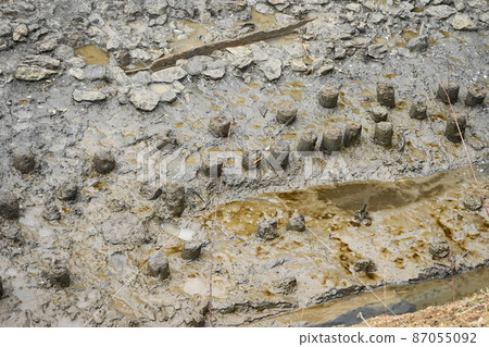 1696年2月港區群樁、高輪堤道發掘現場、海上鐵路遺跡 1696年2月港區群樁、高輪堤道發掘現場、海上鐵路遺跡 87055092