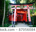 Senbon Torii伏見 87056084